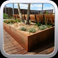 PLANTER2131