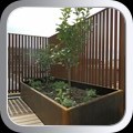 PLANTER31493