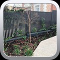 FENCE1686a
